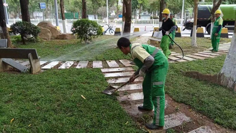 道路绿化设计规范：解读与学习要点