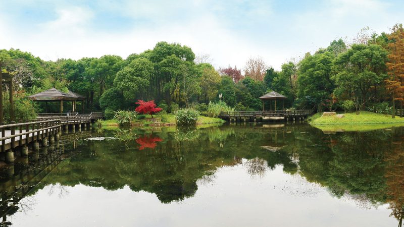 草坪修剪进入无人时代，上海绿化养护正在换赛道