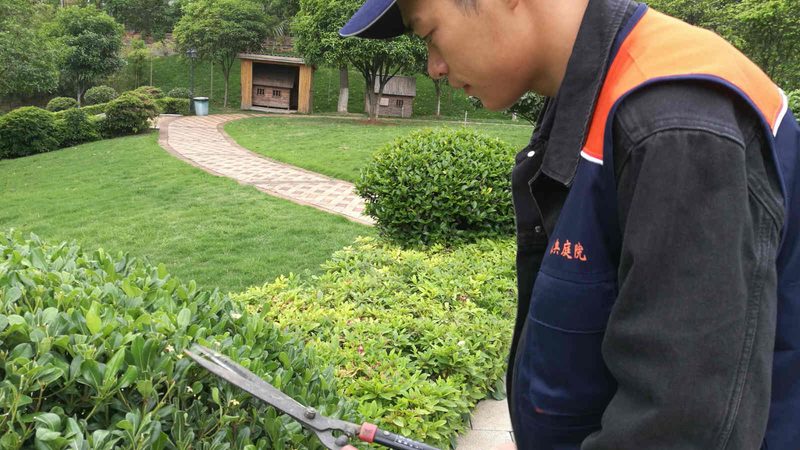 室内垂直绿化工程费用：影响因素与预算规划**