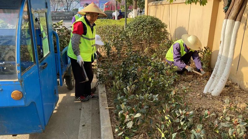厂区景观设计方案：如何规避常见误区**