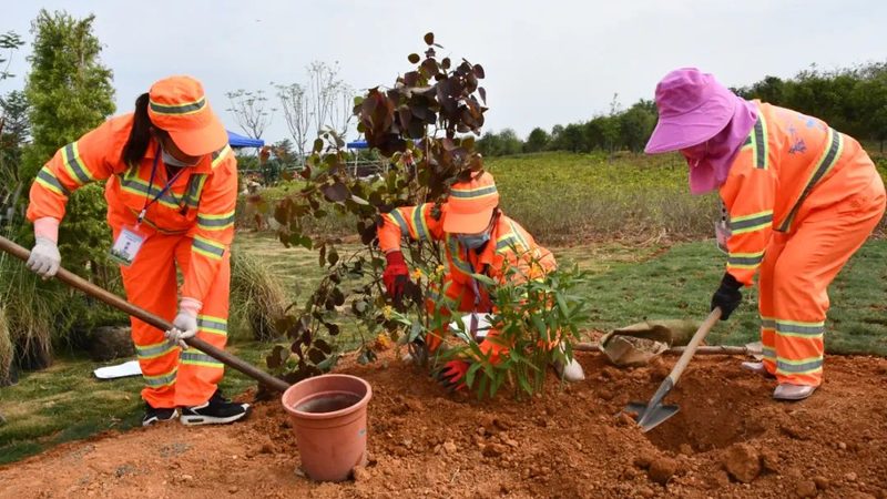 园林工程报价流程揭秘：如何规避陷阱，选择优质品牌
