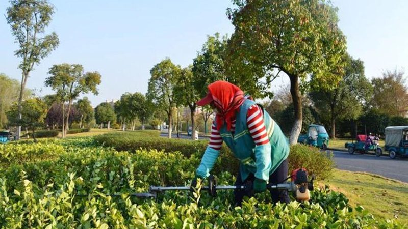 边坡客土喷播植草，这些注意事项你了解吗？**