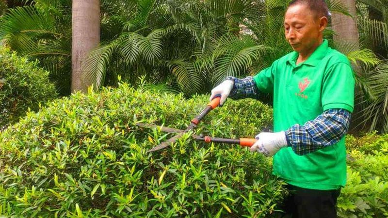绿化资质升级，如何选择专业代理？**