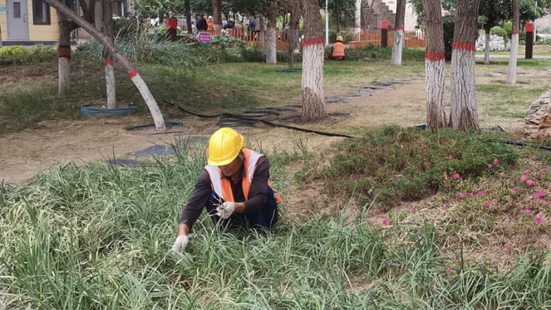 园林绿化工程报价清单制作要点全解析