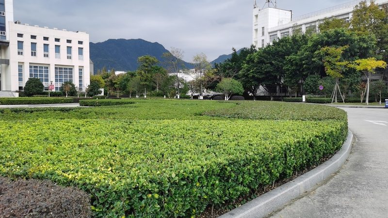 小区绿化方案，为何总在交付后“变味