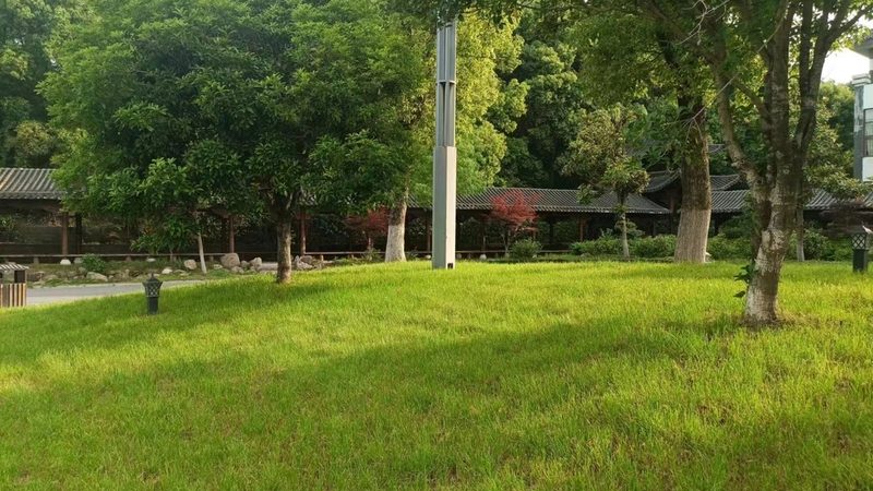北京小区绿化灌木种植间距标准解析**