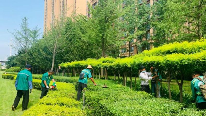 仿真草坪批发市场，你踩过哪几个坑